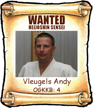 Vleugels Andy