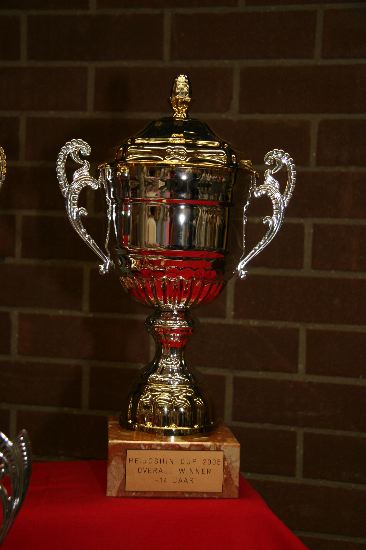 De Heijoshin Cup