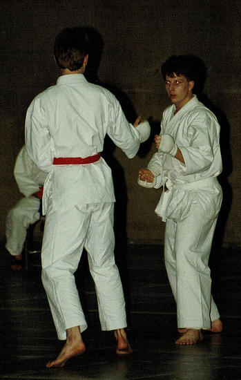 Sensei Andy in volle actie